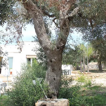 Tenuta Ciullo *